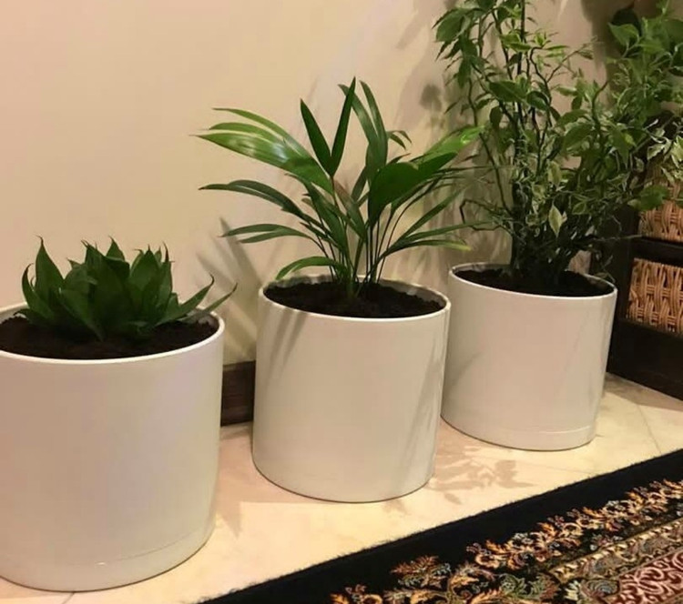 گلدان پلیمری استوانه ای سفید