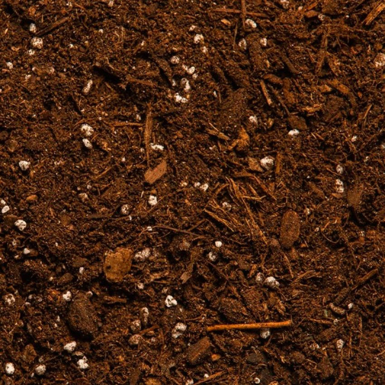 Soil and fertilizer ready for planting