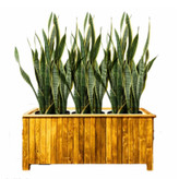 باکس چوب و فایبرگلاس