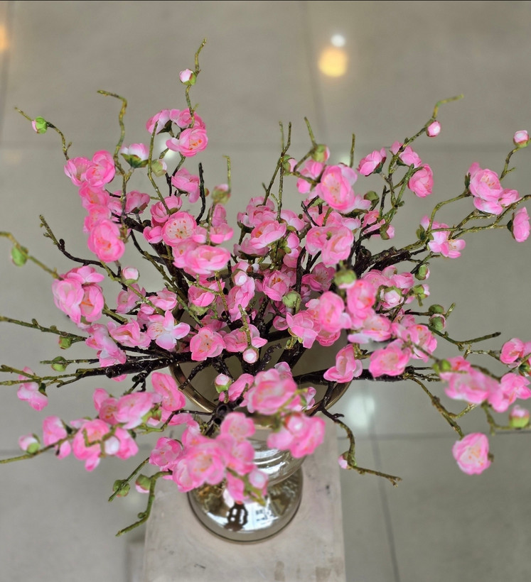 شکوفه به ژاپنی به همراه گلدان جام