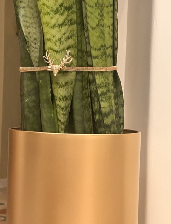 گلدان پلیمری استوانه ای بلند طلایی