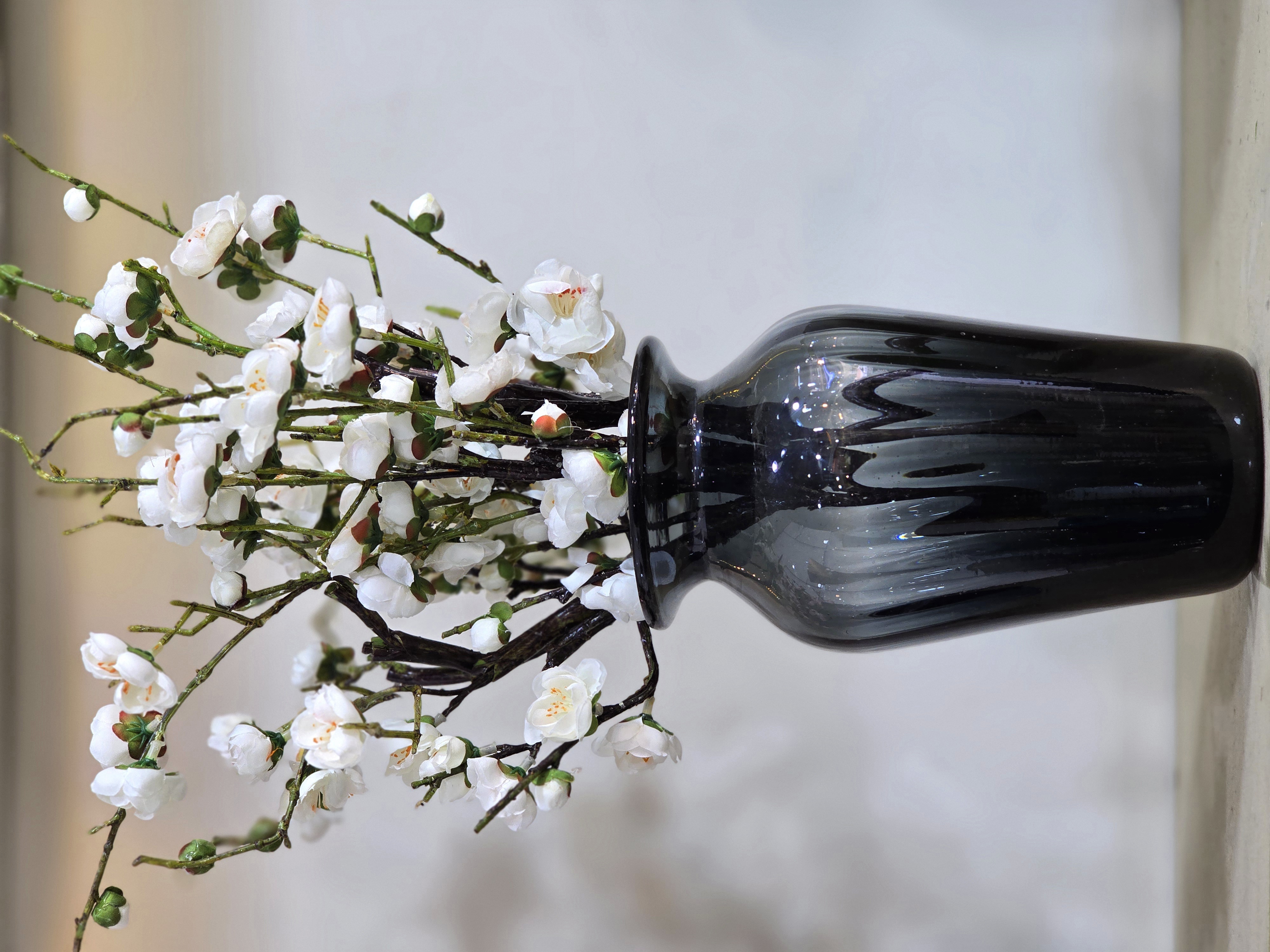 شکوفه ژاپنی سفید