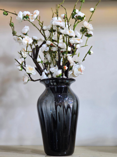 شکوفه ژاپنی سفید