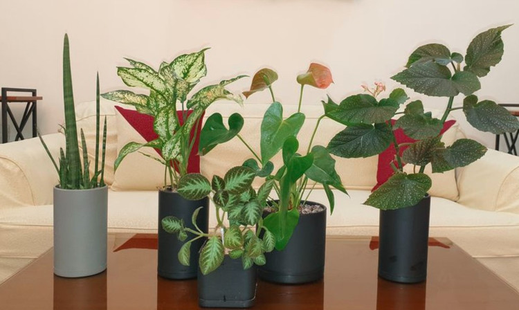 گلدان پلیمری استوانه ای دارای زیرگلدانی
