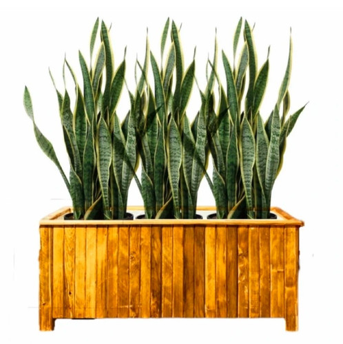 باکس چوبی ترموود