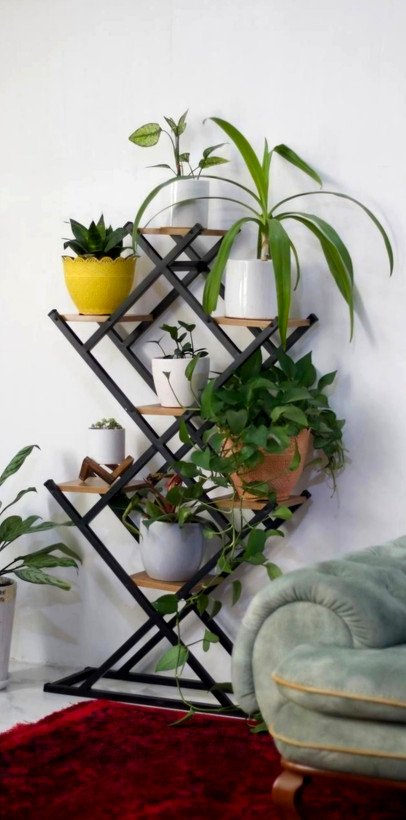 X-model profile stand