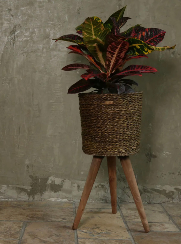 Vase/cover, wicker tripod vase with metal frame and wooden legs