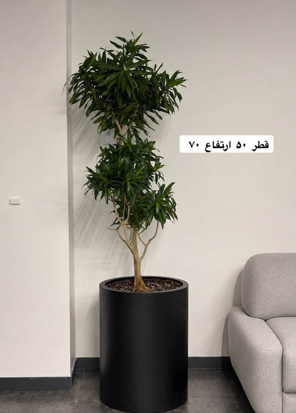 گلدان استوانه ای فلزی قطر 50 سانتیمتر - چرخدار - زیرگلدانی کشویی - ورق 1 میل - رنگ کوره ای